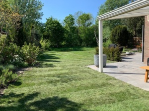 tuin vernieuwing met gras en groot terras
